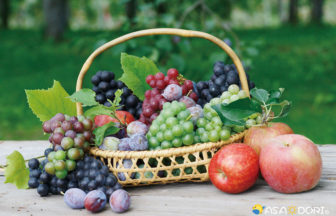 地域で収穫可能な果物のイメージ
